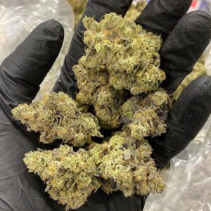 Amnesia Haze