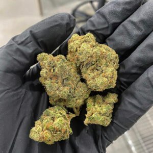 Zkittle Cake Mendo