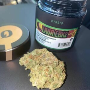 Lava Cake Hybrid