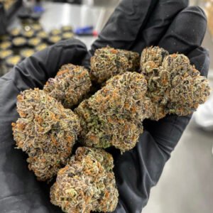 Jet Fuel Malibu Gold